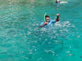 A snorkeler enjoys an underwater adventure, surrounded by vibrant fish in crystal-clear waters — a perfect highlight of a tropical getaway.