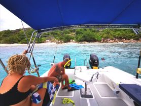 A group enjoys a snorkeling adventure off the coast, with vibrant waters and a beautiful beach backdrop — perfect for aquatic exploration and fun.