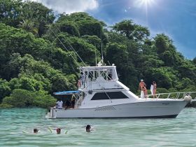 A lively scene with guests enjoying a swim near a boat, showcasing the fun and excitement of a day on the water.