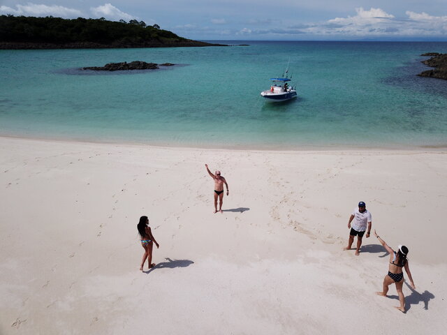 Listing image 1064636