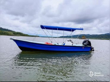 Mangrove Tour