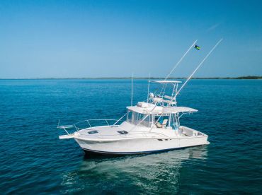 AquaShores – Cyan 32'
