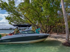 A group of friends enjoys a day on the water, exploring the beach with their Monterey boat, surrounded by lush greenery and clear waters.