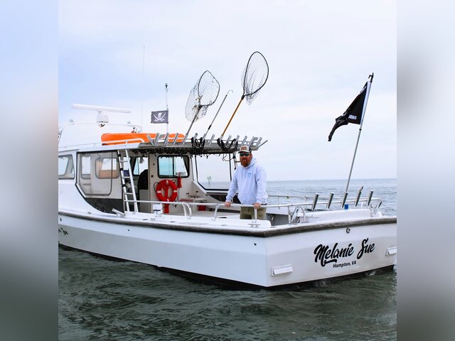 Listing image 1065207