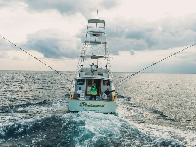 Listing image 1070846