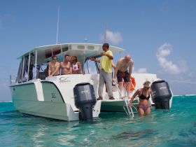 A lively group enjoys a fun day on a catamaran, with some members preparing to swim in the clear turquoise waters — perfect for adventure seekers and water enthusiasts.