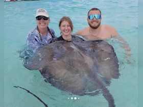 Three individuals enjoy a memorable encounter swimming with a stingray in the clear waters, showcasing the beauty of marine wildlife interactions.