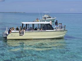 A lively group enjoys a day on the water aboard a boat, with some guests swimming nearby — perfect for family outings and aquatic adventures.
