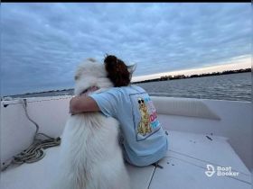A person shares a tender moment with a fluffy dog on a boat, showcasing the joy of companionship on the water.