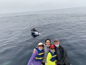 A joyful family captures a moment with a dolphin swimming alongside their boat, showcasing a memorable wildlife encounter on the water.