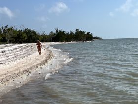 A woman strolls along a serene beach, surrounded by lush greenery and gentle waves — a perfect escape into nature.