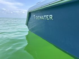 Close-up view of the bow of a Tidewater boat gliding through vibrant green waters, showcasing its sleek design and craftsmanship.
