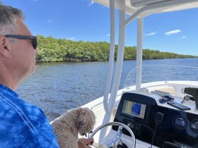 A man enjoys a scenic boat ride with his dog, navigating through tranquil waters lined with lush mangroves — a perfect day for boating enthusiasts.