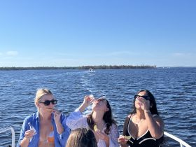 A lively group of friends enjoys drinks and laughter on a boat, capturing the essence of a fun day on the water.