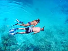 A couple enjoys snorkeling in crystal-clear waters, exploring the vibrant underwater world — a perfect adventure for marine enthusiasts.