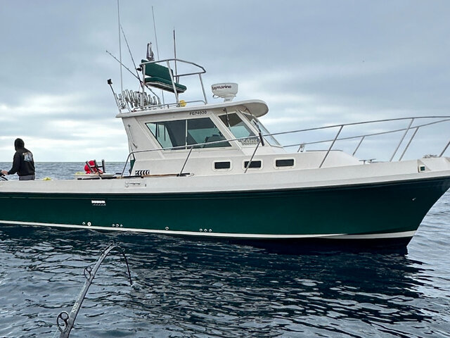 Listing image 1065407