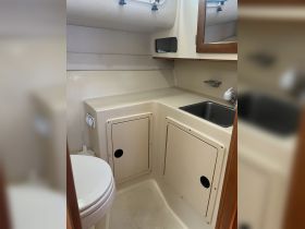 Interior view of a boat's bathroom area featuring a sink and toilet, showcasing the compact and functional design typical of marine cabins.