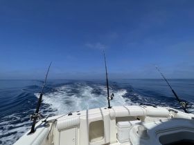 A view from the back of a speedboat cruising through calm waters, showcasing the vessel's sleek design and the beautiful blue sky above.