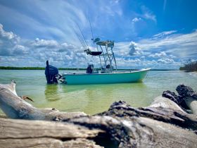 A fishing boat anchored in calm waters, showcasing its sleek design against a backdrop of vibrant skies and lush greenery — perfect for a day of fishing adventures.