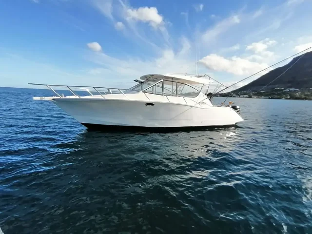 Listing image 1067984