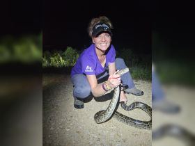 A woman interacts with a large snake in a nighttime setting, showcasing a unique human-animal encounter that highlights wildlife exploration.