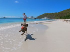 A playful dog in a life jacket leaps through the shallow water at a beautiful beach, with a person and boats in the background — capturing a joyful moment of fun in the sun.