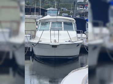 7 Seas Charters Puerto Rico