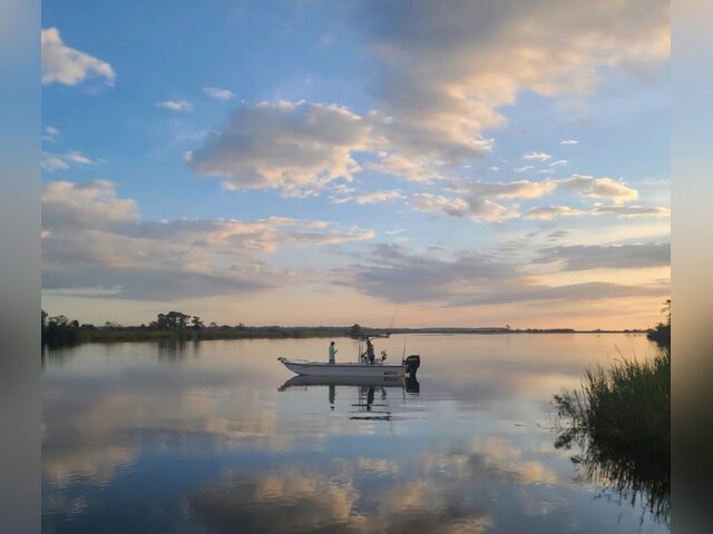 Listing image 1073271