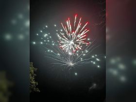 A vibrant display of fireworks lighting up the night sky, creating a festive atmosphere.