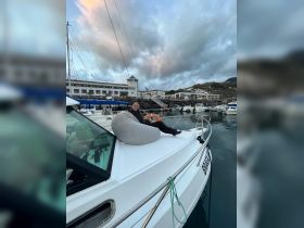 A woman relaxes on the deck of a boat in a harbor setting, showcasing a serene moment on the water.