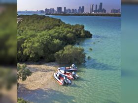 A scenic view of boats anchored near a mangrove, with a stunning city skyline in the background — perfect for exploring coastal ecosystems and enjoying water activities.