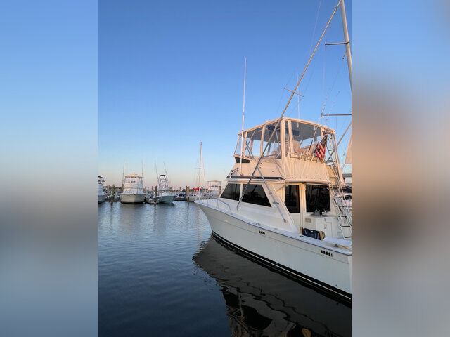 Listing image 1065889