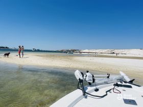 A couple enjoys a sunny day at the beach with their dog, creating a perfect sandbar getaway. The serene waters and clear skies set the stage for relaxation and fun.