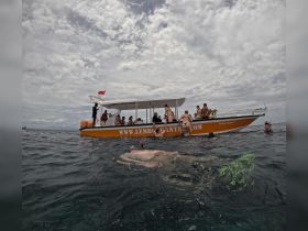 A lively group enjoys snorkeling around a boat in the ocean, showcasing the excitement of water activities and marine exploration.