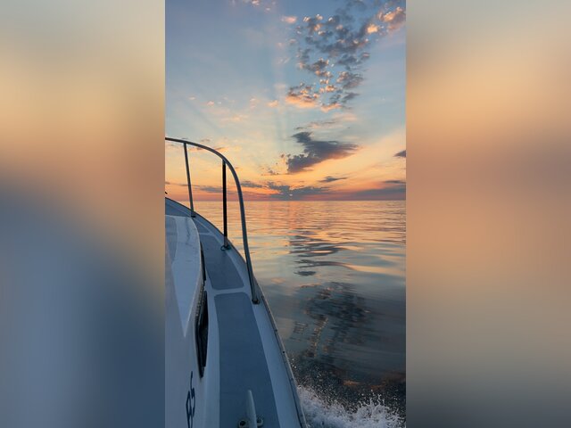 Listing image 1066024
