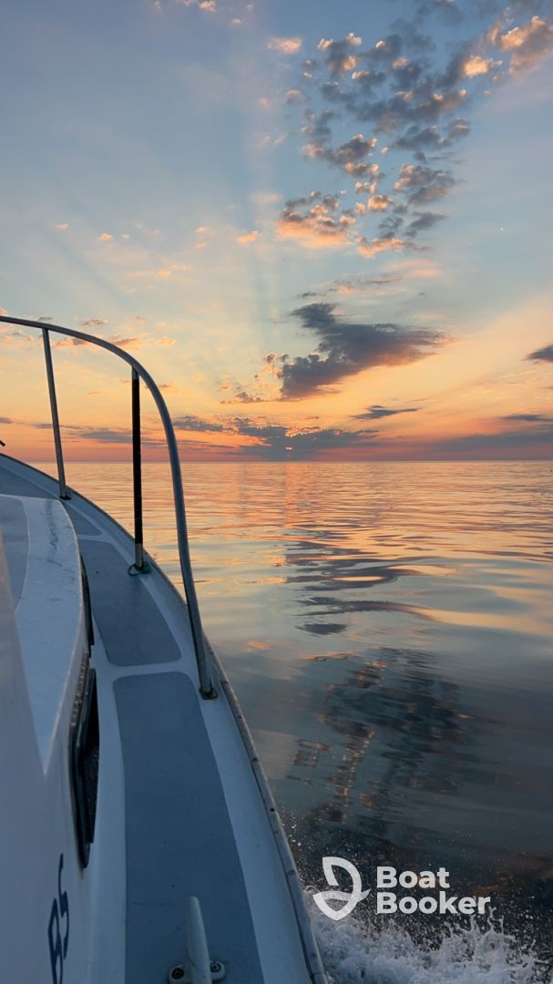 Lyla Rose Charters