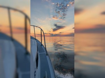 Lyla Rose Charters