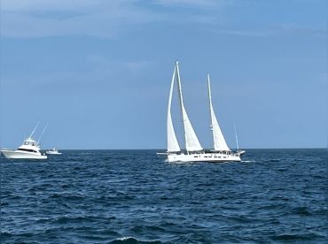 Artemis Sailing Charters