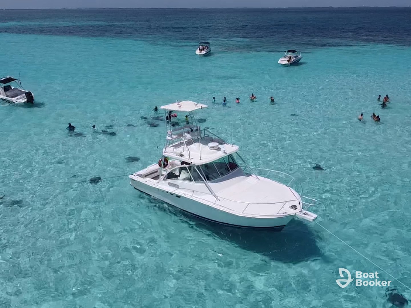 Cayman Snorkel Co