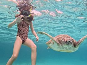 A young girl snorkels underwater, interacting with a friendly sea turtle — a magical wildlife encounter in crystal-clear waters.