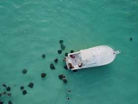 Aerial view of a group enjoying a close encounter with stingrays in crystal-clear waters, with a boat anchored nearby — a thrilling experience for adventure seekers.