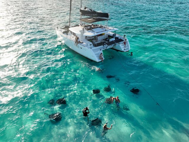 Listing image 1067551