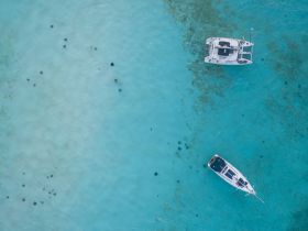 An aerial view captures guests swimming with stingrays in crystal-clear waters, showcasing an unforgettable marine adventure.