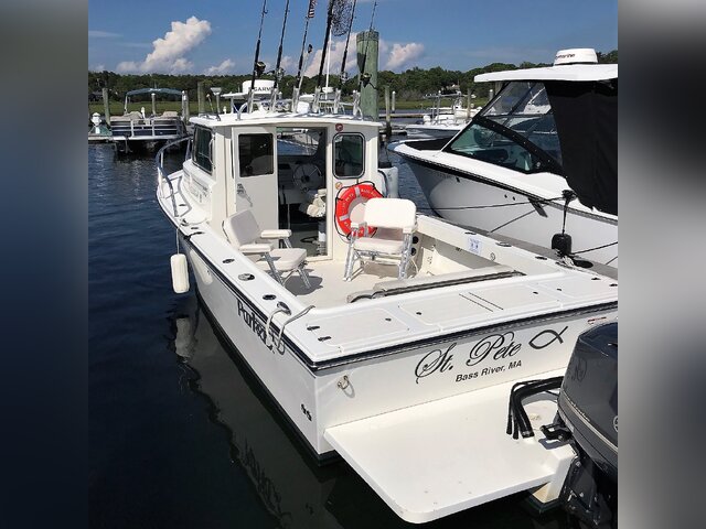Listing image 1066096