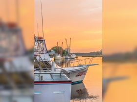 A picturesque view of fishing boats docked at sunset, reflecting the warm colors of the sky on calm waters — an ideal scene for maritime enthusiasts.