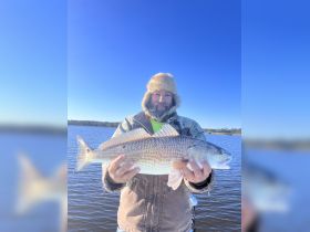 A proud angler displays a freshly caught fish against a clear blue sky, showcasing the thrill of fishing in serene waters.