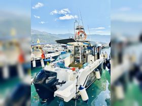 A sleek speedboat docked in a marina, showcasing its modern design and features against a backdrop of serene waters and mountains.
