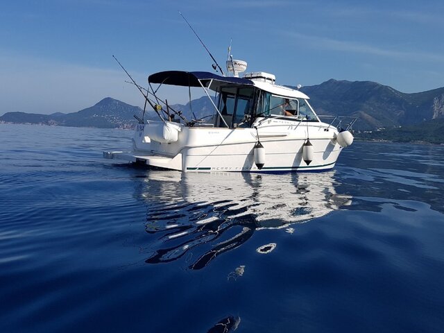 Listing image 1066423