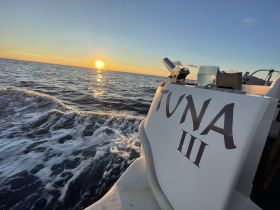A stunning view of the 'TUNA III' boat cutting through the waves at sunset, showcasing the beauty of a serene evening on the water.