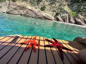 A vibrant close-up of starfish on a boat deck with a swimmer in the background, showcasing the beauty of marine life in crystal-clear waters.